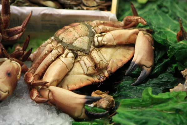 市场上螃蟹 — 图库照片