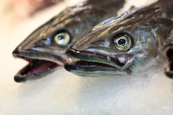 stock image Fish on market