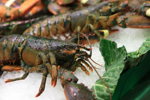 Fresh shrimp on market — Stock Photo, Image