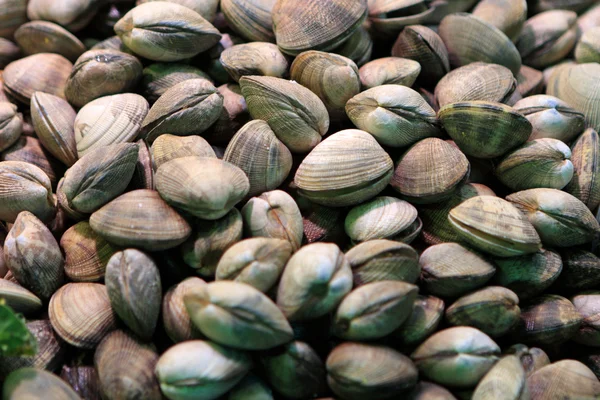Pimpernoten (pistaches) op de markt — Stockfoto