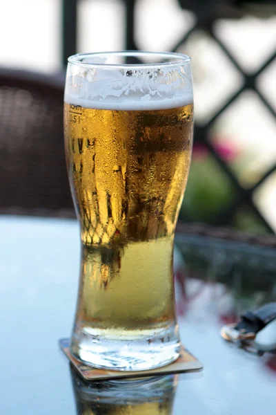 The cold glass of beer — Stock Photo, Image