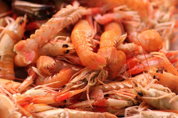 Boiled prawns at market — Stock Photo, Image
