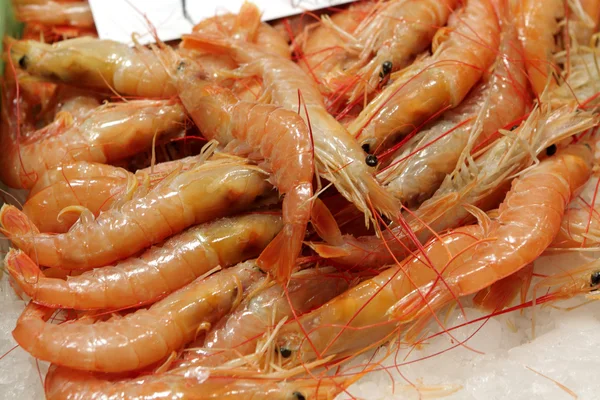 Boiled prawns for sale — Stock Photo, Image