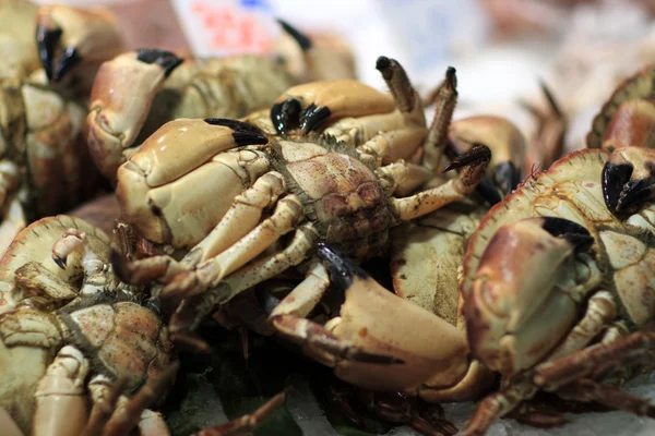 Crabe à vendre au marché — Photo