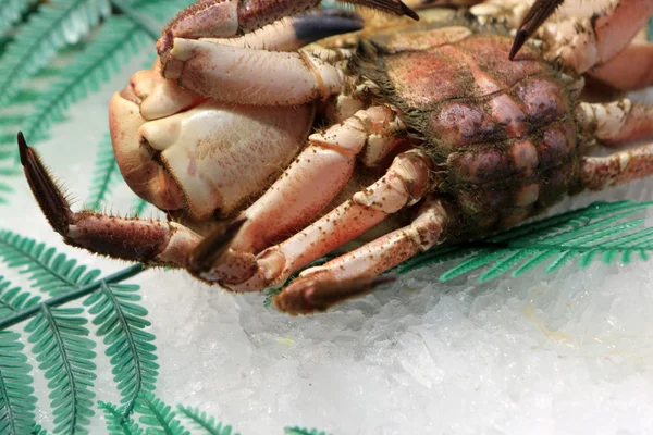 Crab on ice at market — Stock Photo, Image