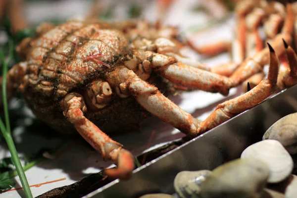 Crabe sur le comptoir — Photo