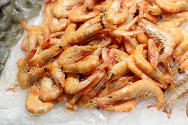 Crevettes au marché — Photo