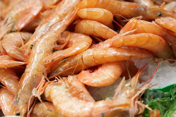 stock image Shrimps at market