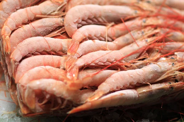 Les crevettes à vendre — Photo