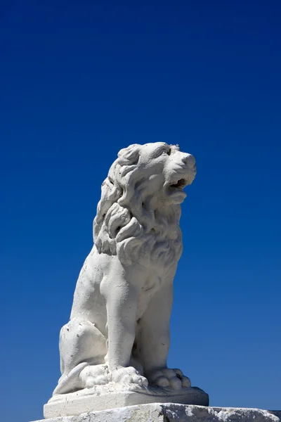 サントリーニ島で白いライオン — ストック写真
