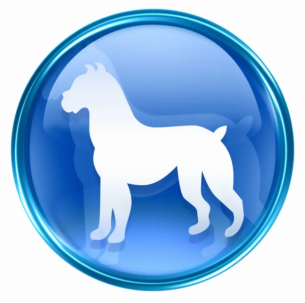 Ікона Собака Зодіак синій, ізольований на білому тлі . — стокове фото