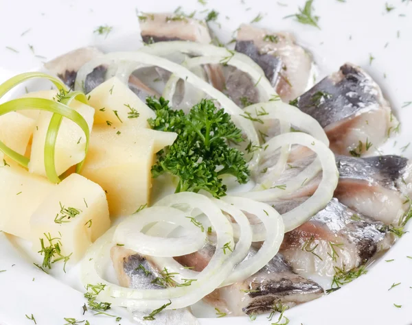 Marinated herring fillets — Stock Photo, Image