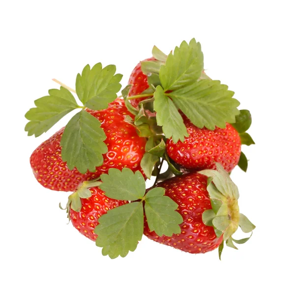 Rote Erdbeeren — Stockfoto