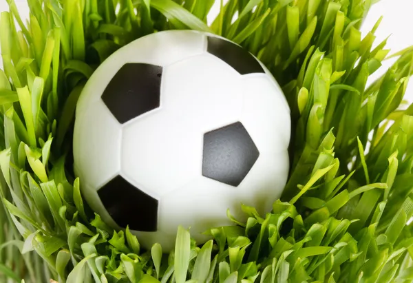 Voetbal op het gras — Stockfoto