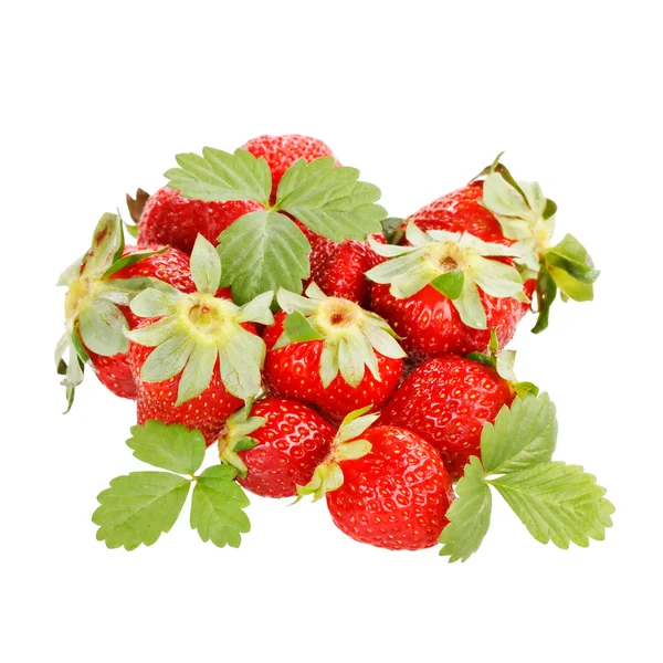红色的草莓 — 图库照片