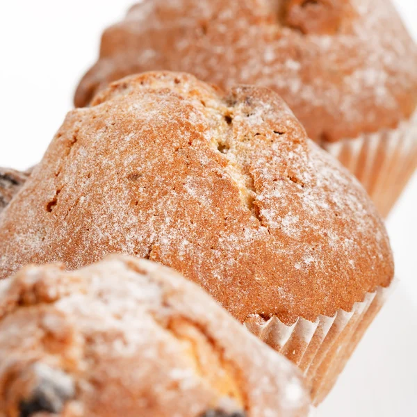 Muffiny s rozinkami — Stock fotografie