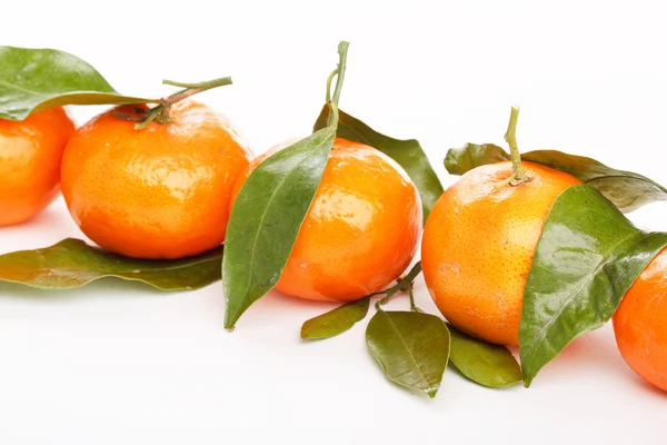Frutas frescas de mandarina — Foto de Stock
