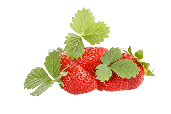 红色草莓，绿叶 — 图库照片