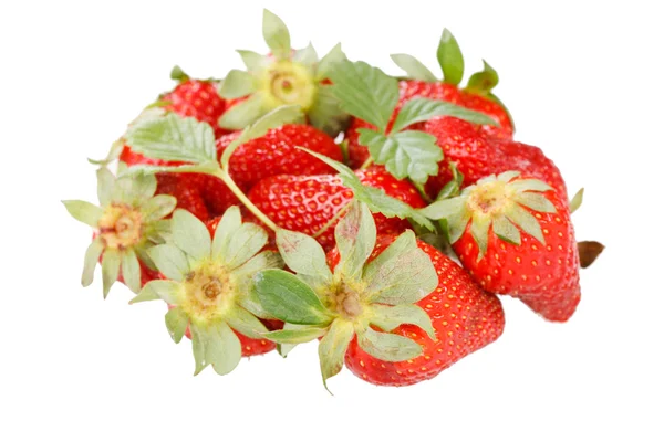 红色草莓，绿叶 — 图库照片