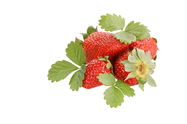 Röd jordgubbe med gröna blad — Stockfoto