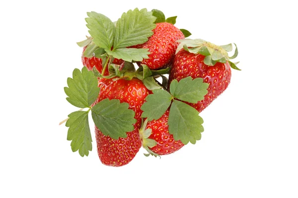 Red strawberry with green leaves — Stock Photo, Image
