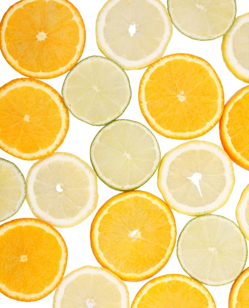Citrus gyűjtemény — Stock Fotó