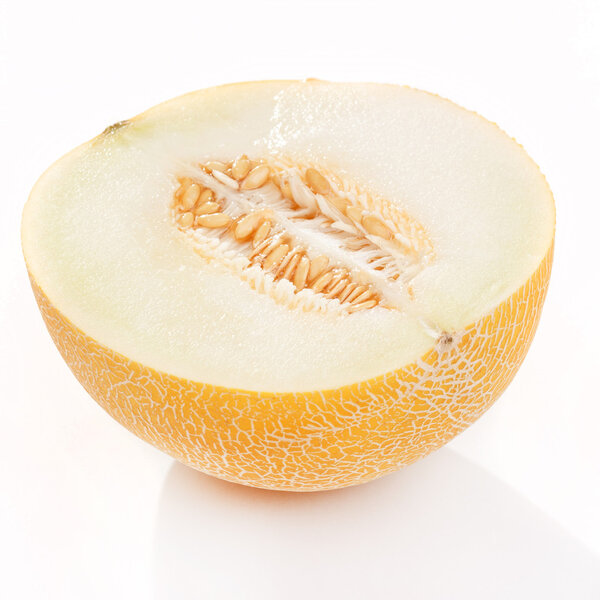 Galia melon