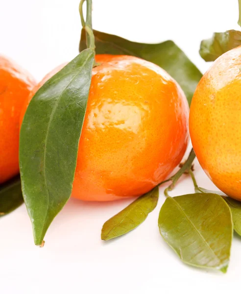 Friske mandarinfrukter – stockfoto