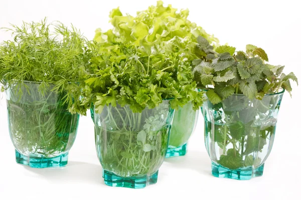 Čerstvé bylinky ve skle — Stock fotografie