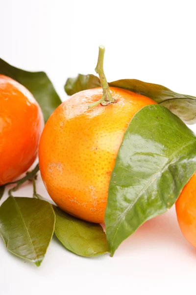 Friske mandarinfrukter – stockfoto