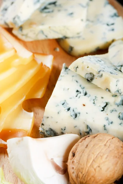 Group of cheeses — Stock Photo, Image