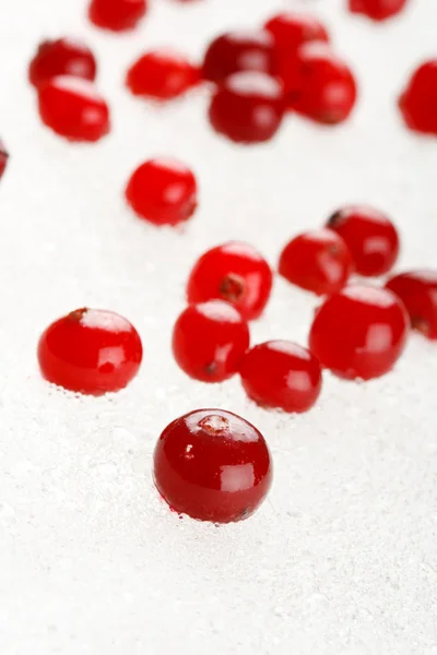 Frozen cranberries — Stock Photo, Image