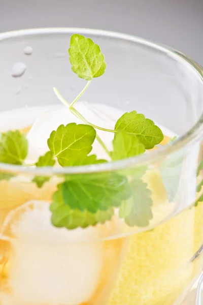 Коктейль с лимоном и мятой — стоковое фото