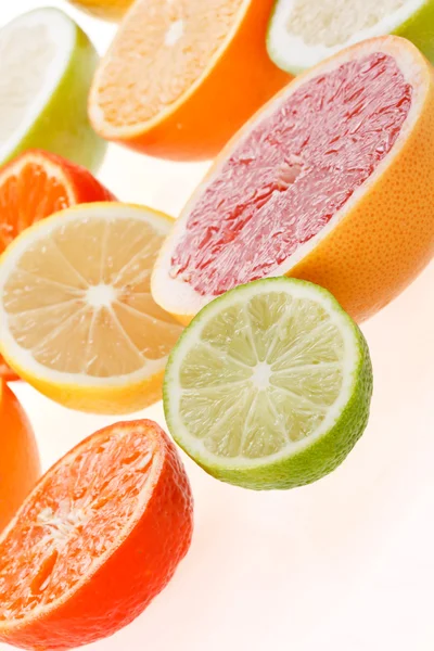 Citrus collection — Stock Photo, Image