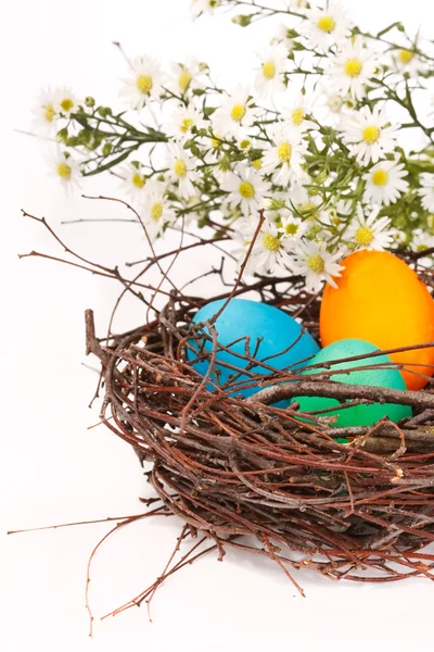 Oeufs de Pâques dans un nid — Photo