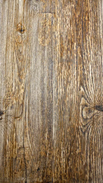 Textura de madeira real — Fotografia de Stock