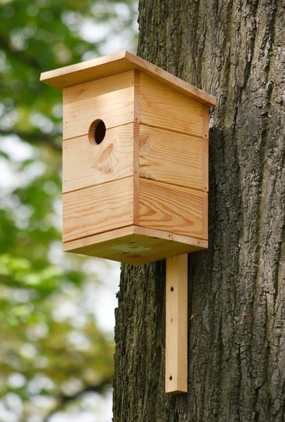 Drewniany domek dla ptaków na drzewie — Zdjęcie stockowe