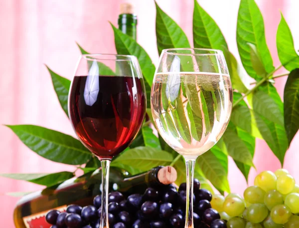 Copo de vinho com garrafa de vinho — Fotografia de Stock