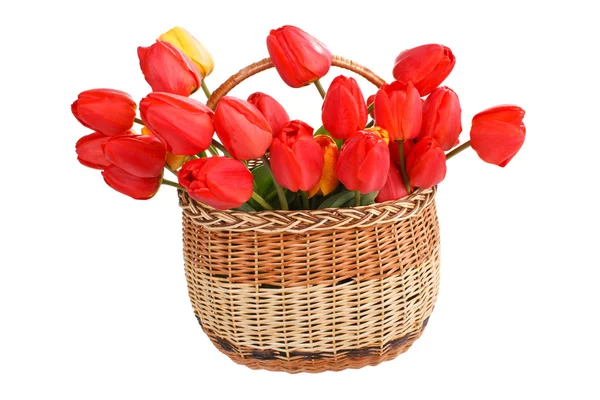 Cesto pieno di tulipani rossi — Foto Stock