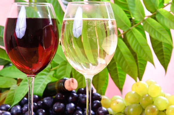 Copo de vinho com garrafa de vinho — Fotografia de Stock