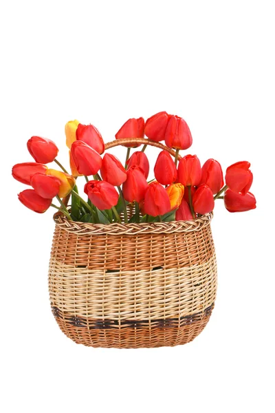 Cesta cheia de tulipas vermelhas — Fotografia de Stock