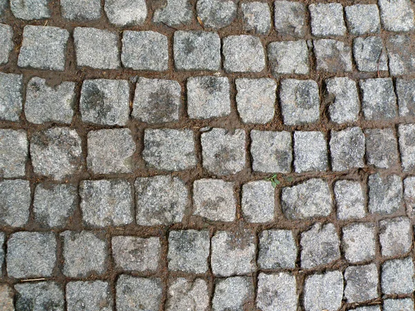 Cobbled Road — Stock Photo, Image