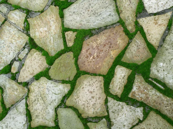 Cobble stones in moss — Stock Photo, Image