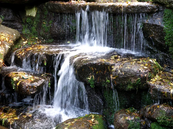 stock image Falling Water