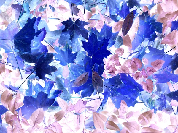 Herbstblätter-Abstraktion Stockbild