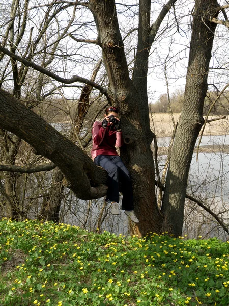 Chica en bosque de primavera —  Fotos de Stock