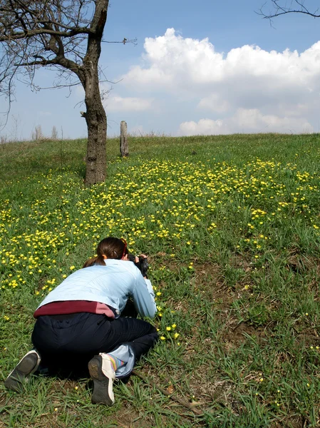 春の牧草地での女の子 — ストック写真