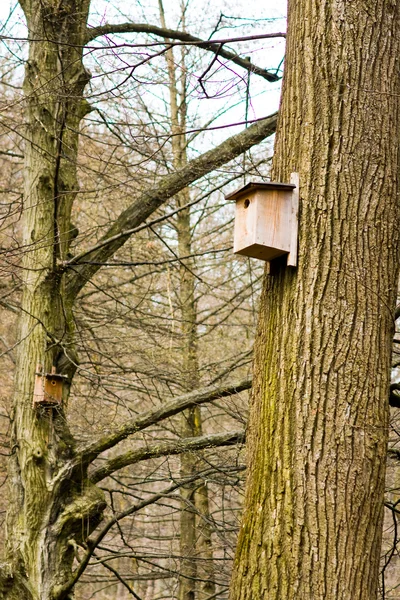 Maison d'oiseaux sur un arbre — Photo