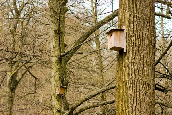 木の鳥の家 — ストック写真