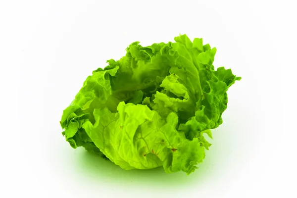Fresh lettuce isolated — Stock Photo, Image